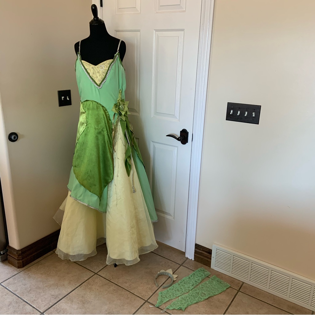 Adult Womens Tiana Costume
